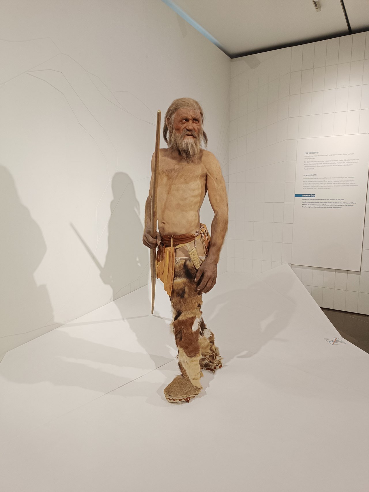 Ötzi the Iceman reconstruction at the South Tyrol Museum of Archaeology