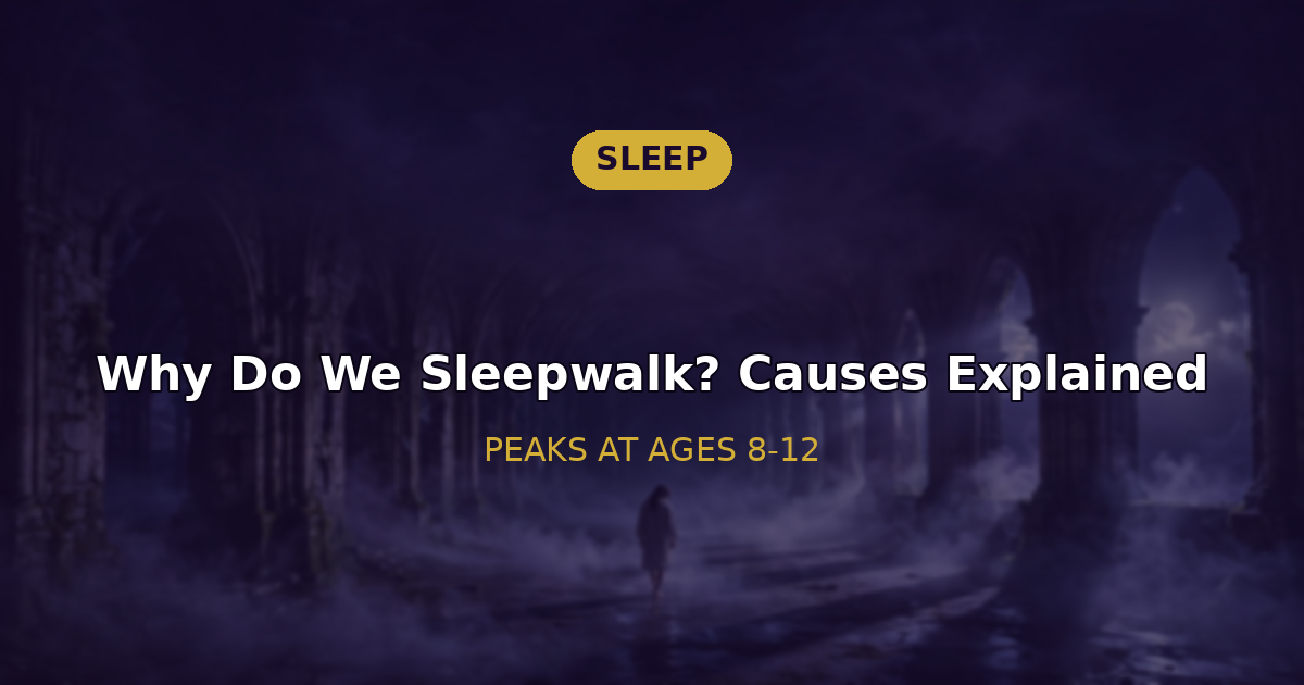 Child sleepwalking at night — why do we sleepwalk explained