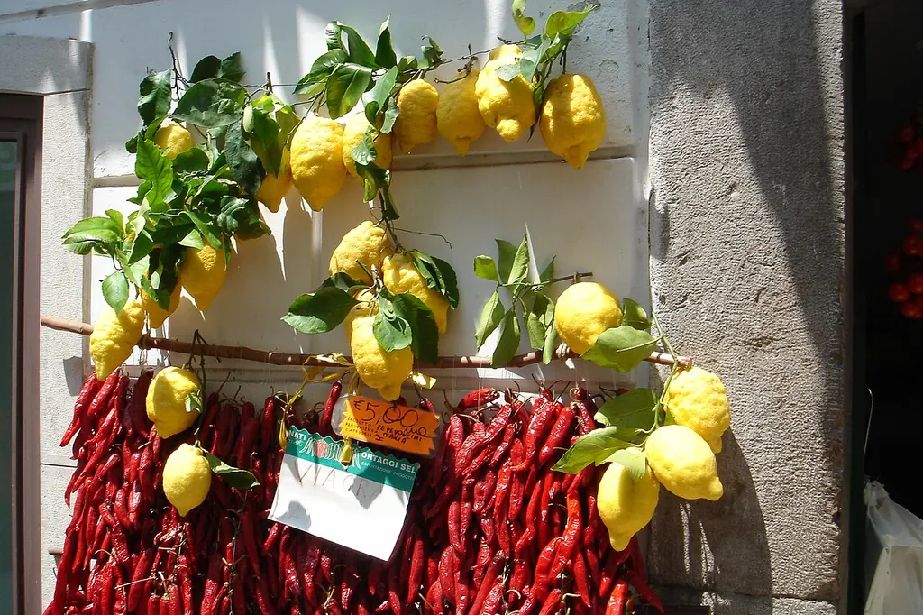 Remove evil eye at home — lemons and dried red chillies hanging together (Wikimedia Commons)