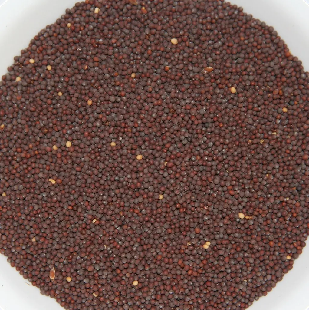 Nazar utarne ke liye sarson — mustard seeds in a bowl (Wikimedia Commons)