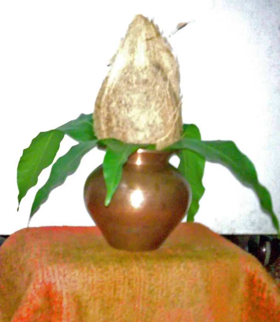 जाप विधि के नियम — नारियल और पत्तों वाला कलश (Wikimedia Commons)