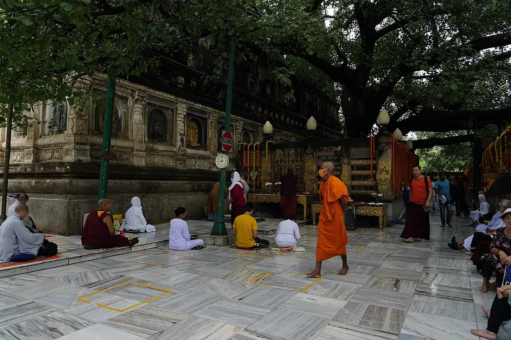 Peepal tree at a temple — kab peepal shubh mana jata hai